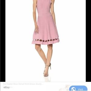NWT Ted baker Cherina dress in size 10 (ted baker size 4) blush pink